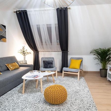 Superbe Appartement Au Coeur Du Colmar Luaran gambar