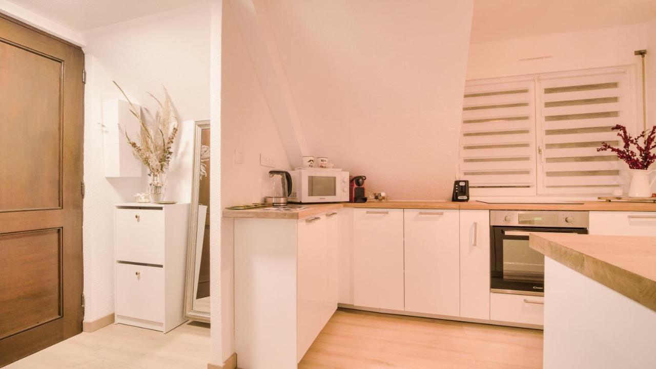 Superbe Appartement Au Coeur Du Colmar Luaran gambar